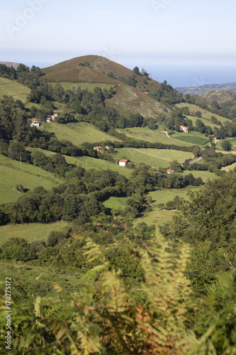 View of Countryside, Nueva, Austurias photo