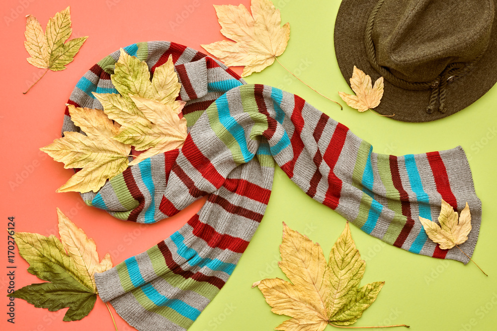 Fall Fashion Glamour Lady Look.Trendy Scarf. Fashion Stylish Glamour Hat. Fall Leaves. Autumn Minimal. Vanilla Pastel colors.