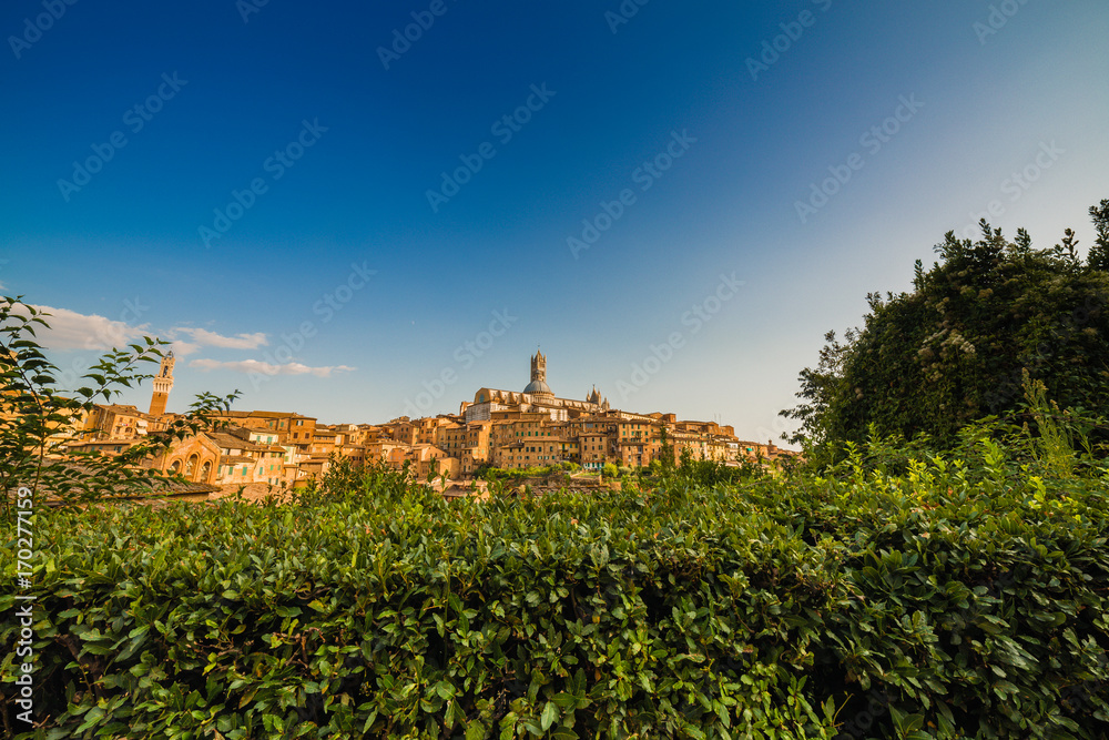 panorama of Siena, Italy
