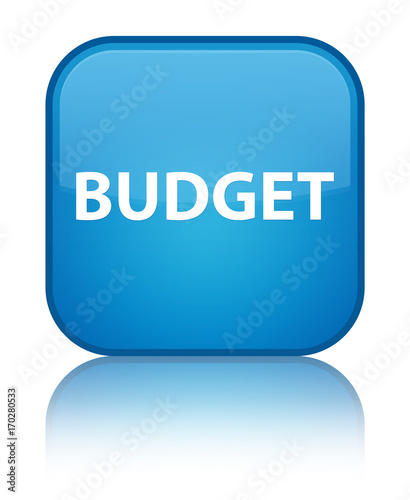 Budget special cyan blue square button