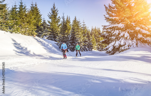 Bild auf Leinwand Langlaufen in Winterlandschaft