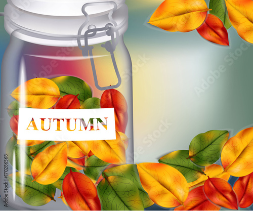 Autumn leaves in a jar on blurry background. Realistic Vector illustration ba...