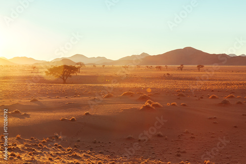 Namibia desert, Veld, Namib 