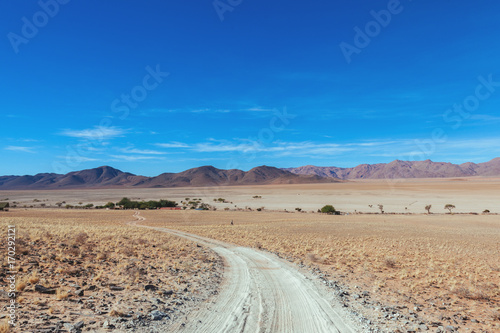 Namibia desert   Veld  Namib 