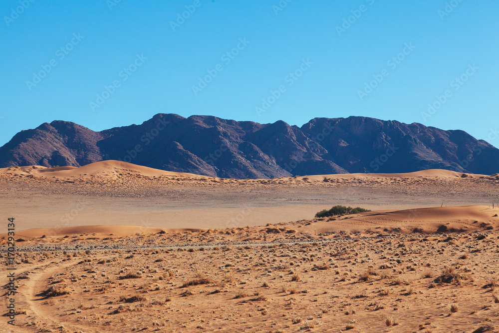 Namibia desert, Veld, Namib 