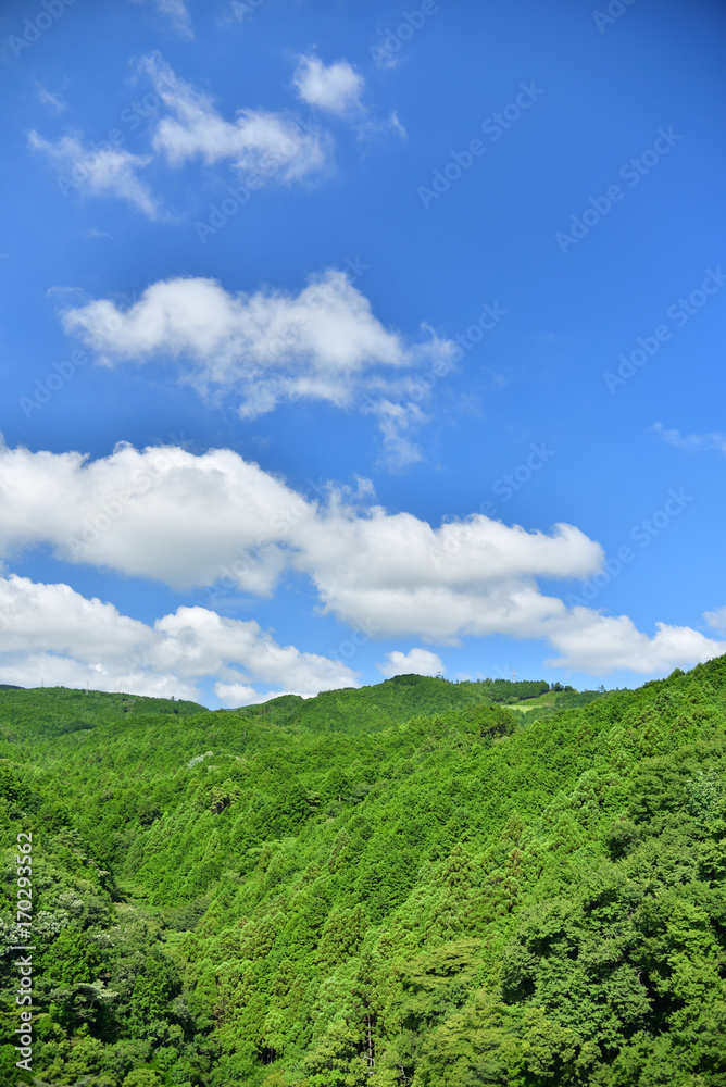 Japanese mountains at summer