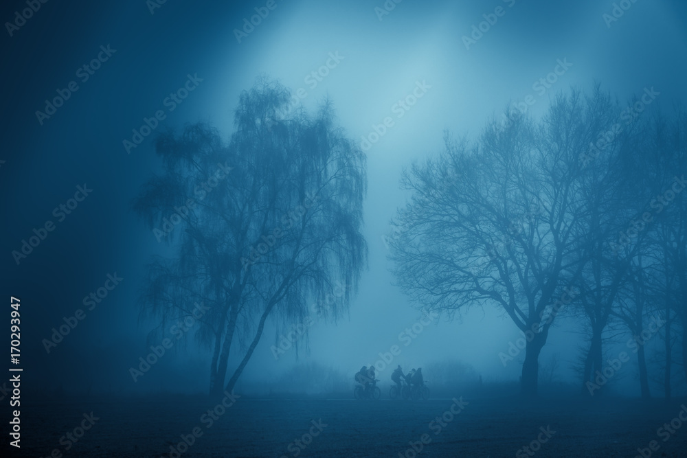 Obraz premium Foggy morning group of people cycling to school