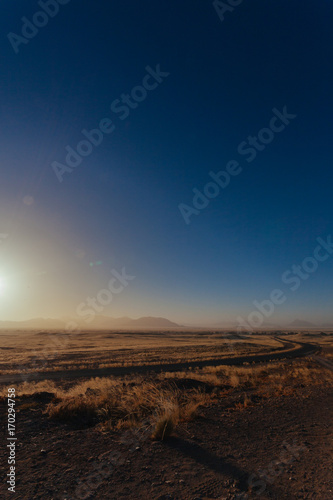 Namibia desert, Veld, Namib © M. Mendelson