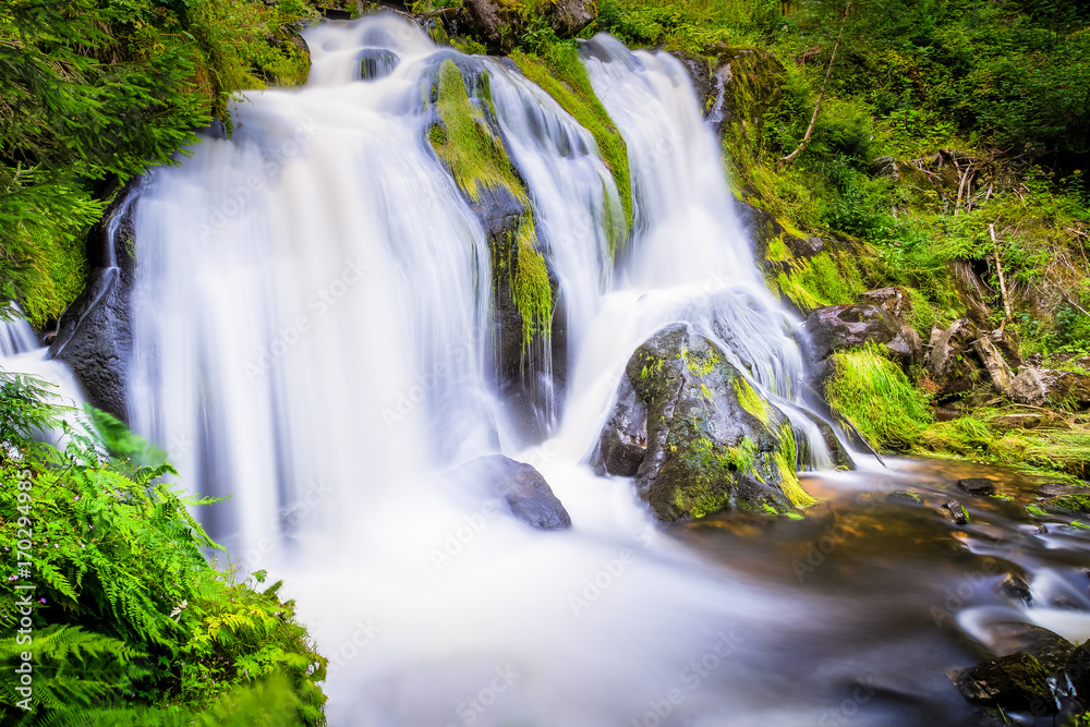 Fototapeta premium Wasserfall in Triberg im Schwarzwald Wasserfälle