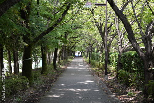 緑道