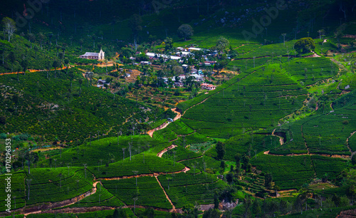 Valley with green hills with tea plantations and a small village. Sri Lanka
