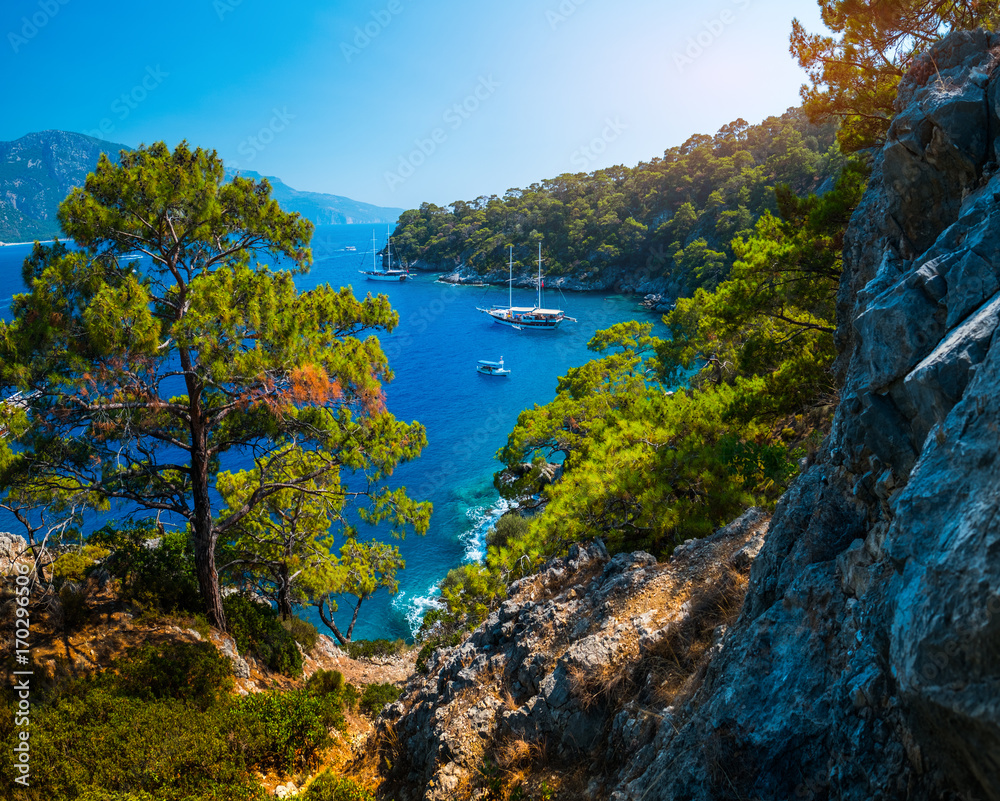 Aegean Sea coast with lush pine trees and calm lagoons with anchored boats, Fethiye, Turkey