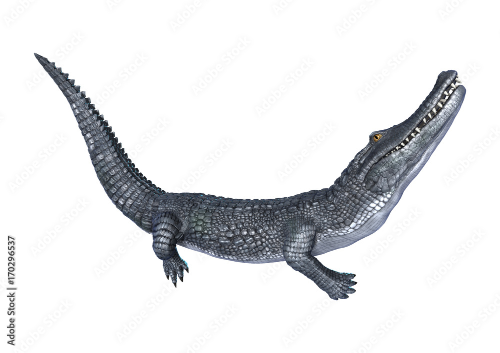 Naklejka premium 3D Rendering Alligator Caiman on White