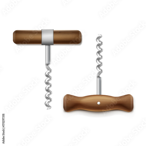 Vector realistic corkscrew