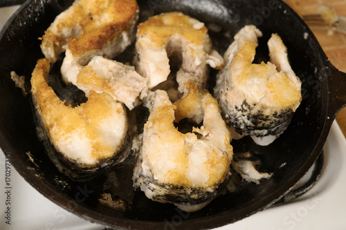 Fried fish steaks in pan. Fry big pike fish in a frying pan.