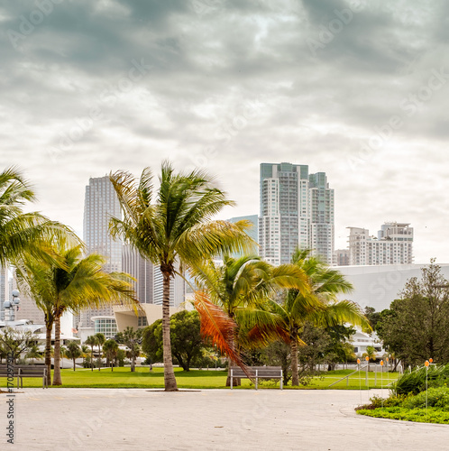 view on downtown Miami in a clouy and windy day. photo