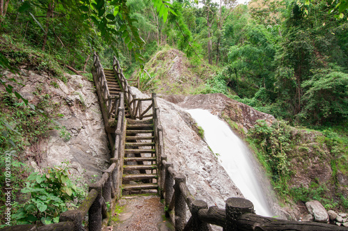 The old bridge in national park.