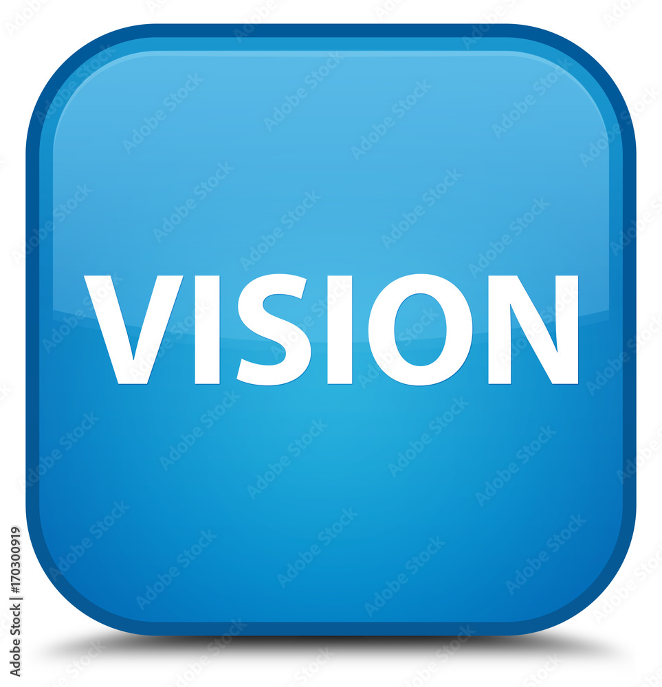 Vision special cyan blue square button Vision special cyan blue square button