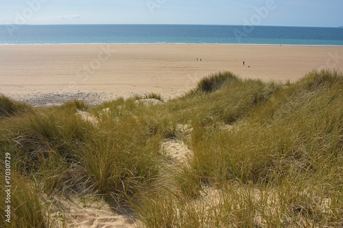 Les dunes de Biville (Le Cotentin)