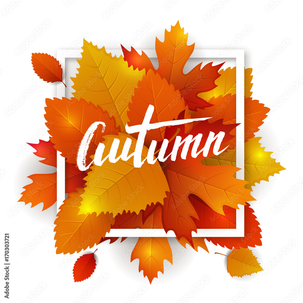 Fototapeta premium Autumn leaves lettering label. Vector hand drawn typography on a fall leaves background