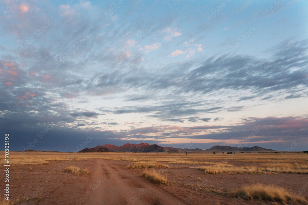 Fototapeta premium Namibia desert , Veld , Namib