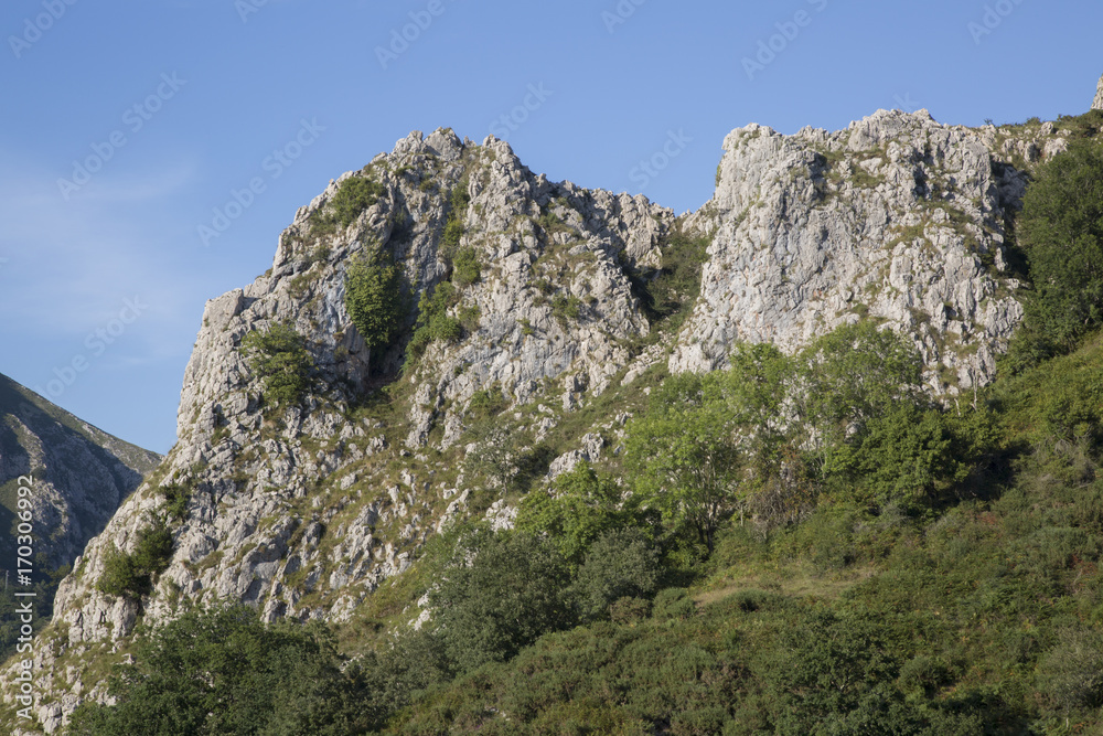 Picos de Europa Mountain Range outside Labra, Austurias