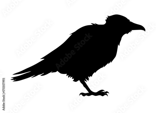 Big monster crow silhouette. Cartoon style. Concept design for halloween banner, greeting card or invites. Vector illustration
