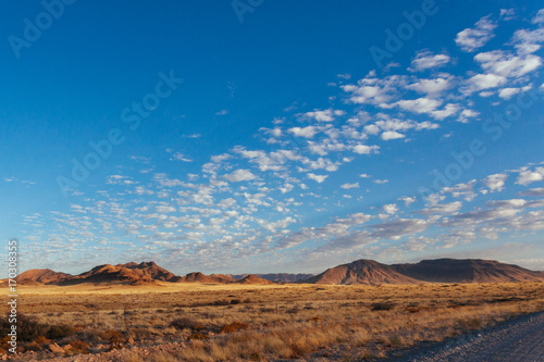 Namibia desert, Veld