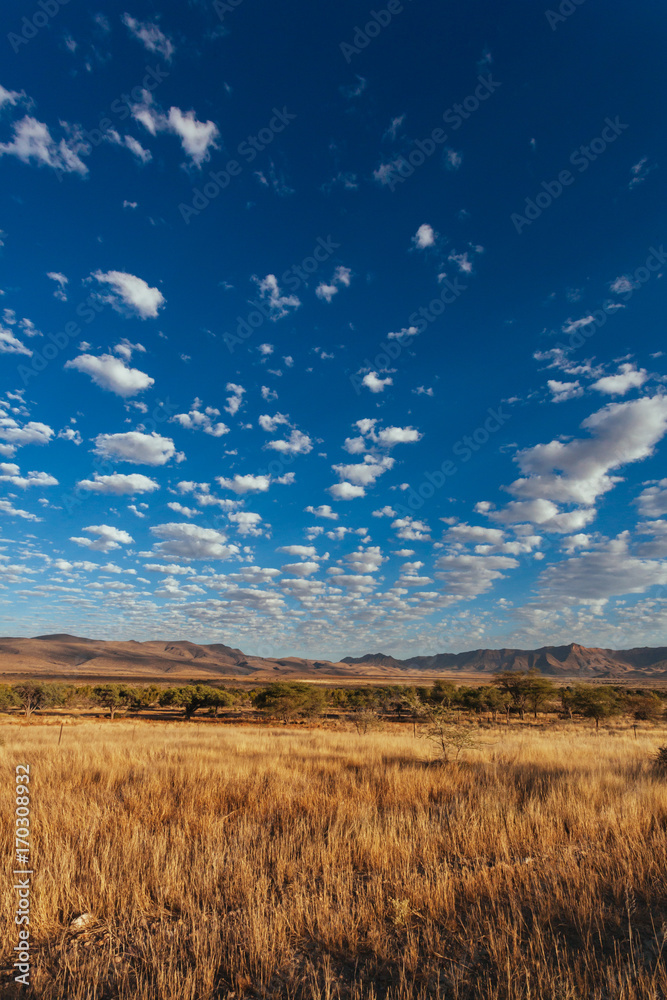 Namibian desert , Veld , Namib 