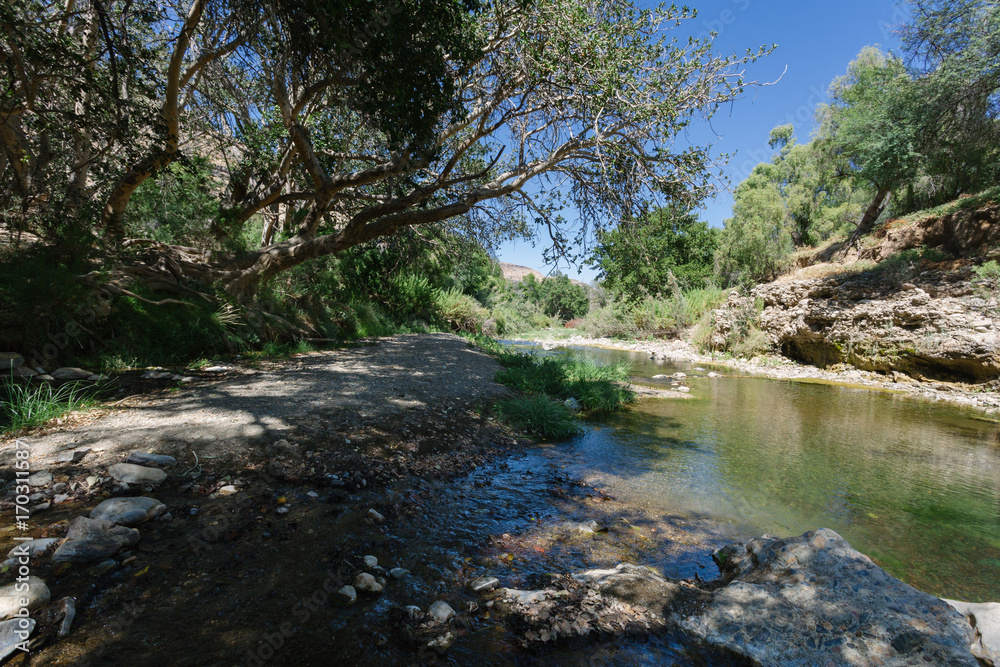 River in the Namibia desert . River in the Namibia desert .