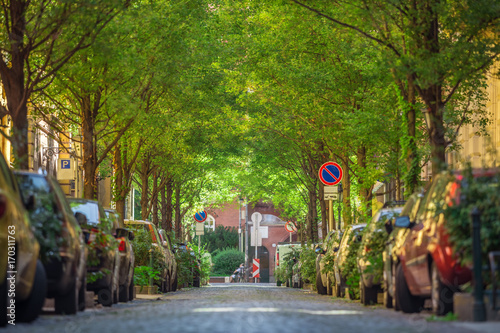 Budapest, Hungary - The beautiful cozy Reviczky street in the heart of Budapest on a nice summer morning with green trees photo
