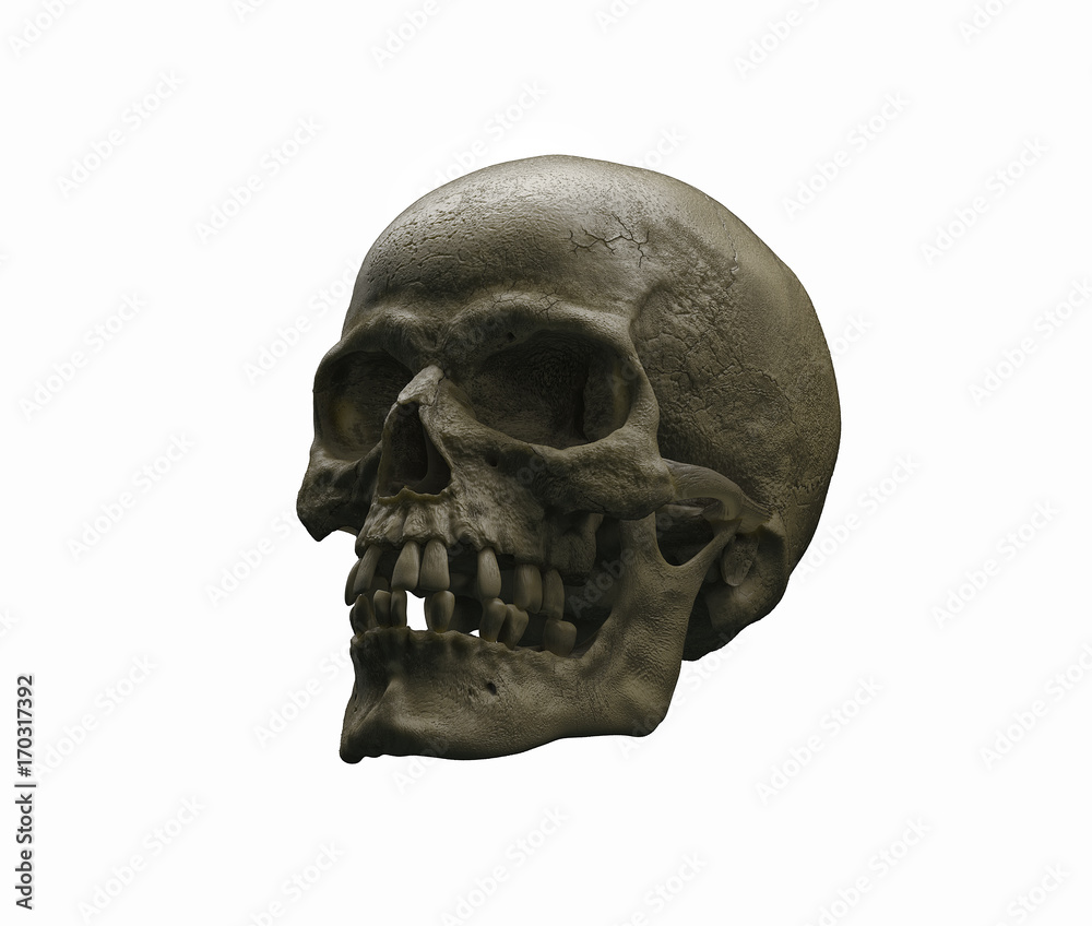 Obraz premium Real Human skull on Rich Colors a Black Background. The concept of death, horror. A symbol of spooky Halloween. 3d rendering illustration.
