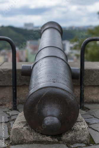 cannon barrel