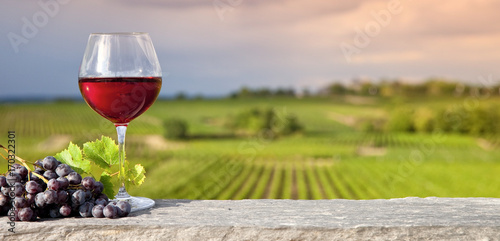 Vigne et verre de vin rouge