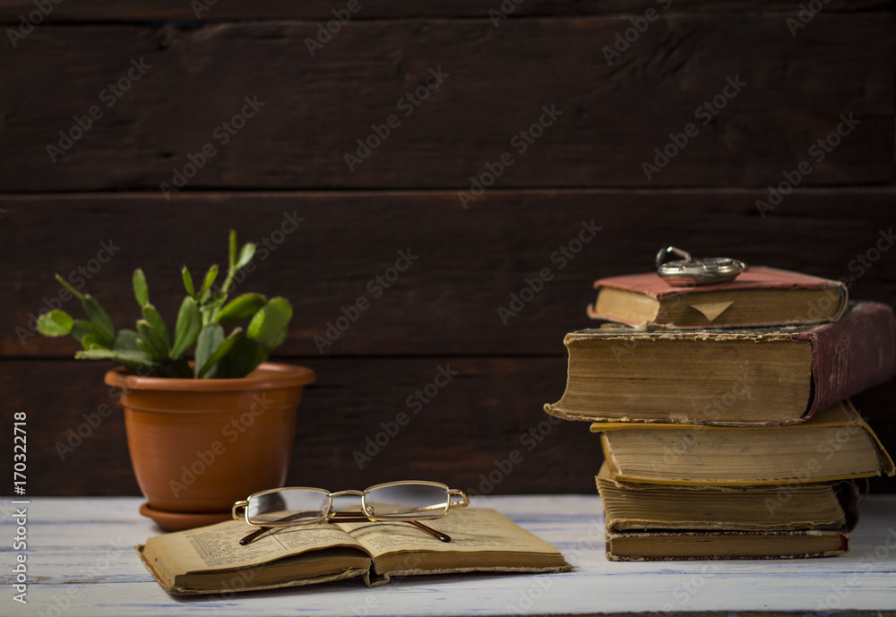 Beautiful image of stacked books next to a cactus on the wooden background under natural light