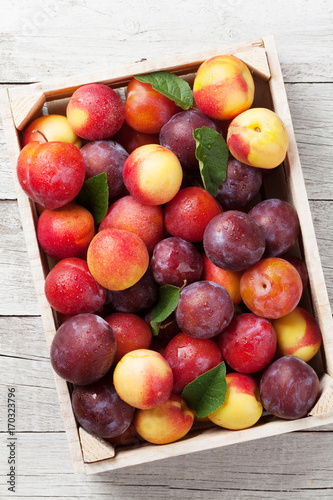 Fresh ripe peaches and plums
