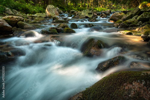 Roztoka river, Roztoka valley, High Tatras, Poland