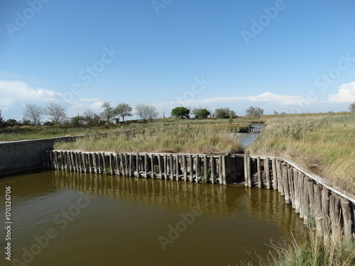 valli di comacchio