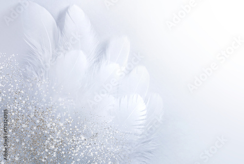 Airy soft Abstract gentle natural background with bird feathers macro with soft focus on light background. Festive background white wing is strewn with sparkling sparkles. © Laura Pashkevich