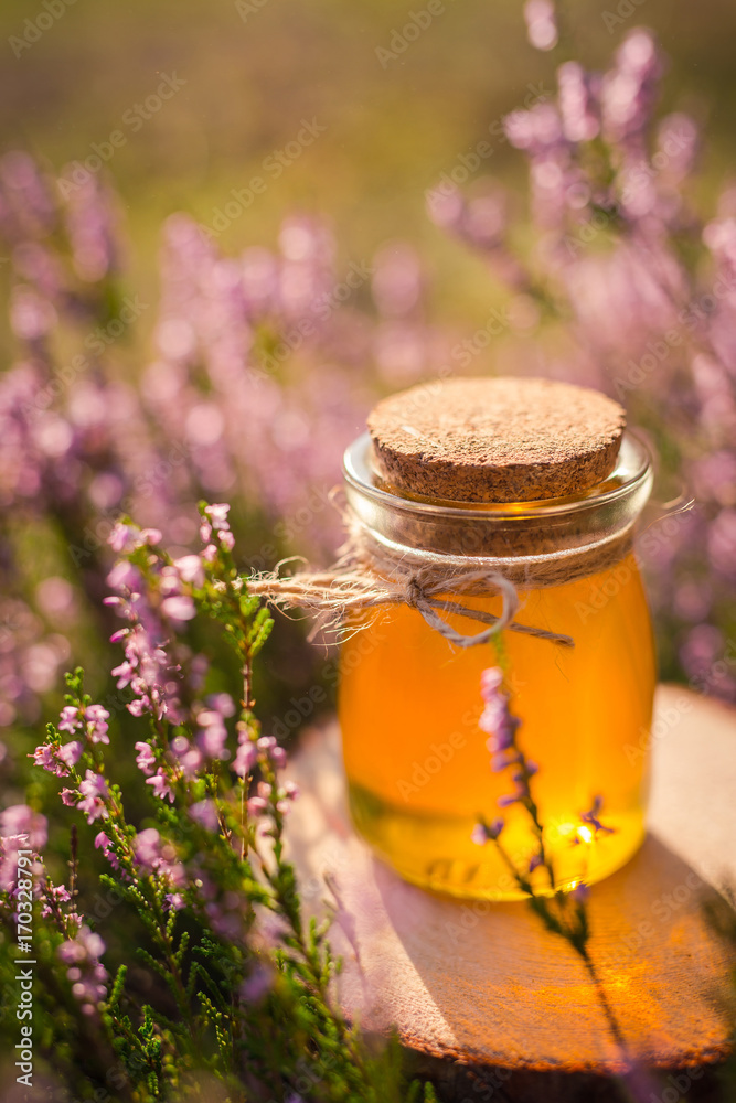 Honey. Jar with natural heather honey in heather bush Honey. Jar with natural heather honey in heather bush