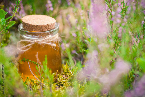 Honey. Jar with natural heather honey in heather bush