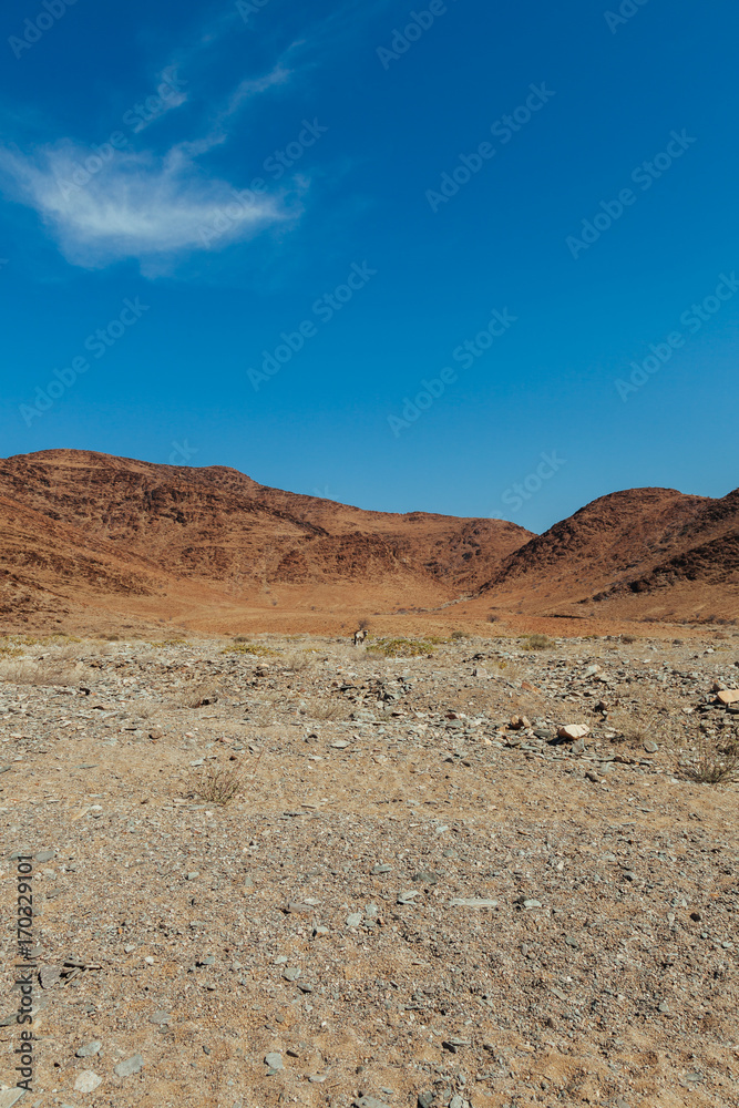 Namibian desert 