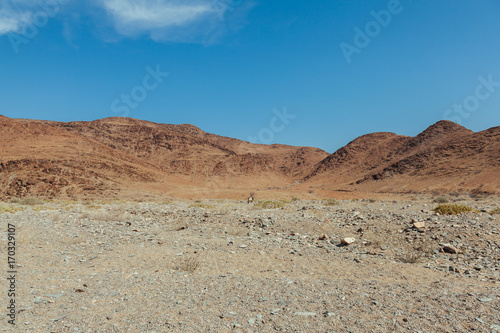 Namibian desert 