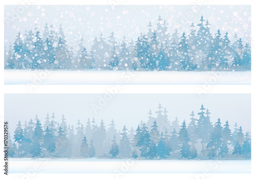 Vector  winter  snow scenes with forest background.