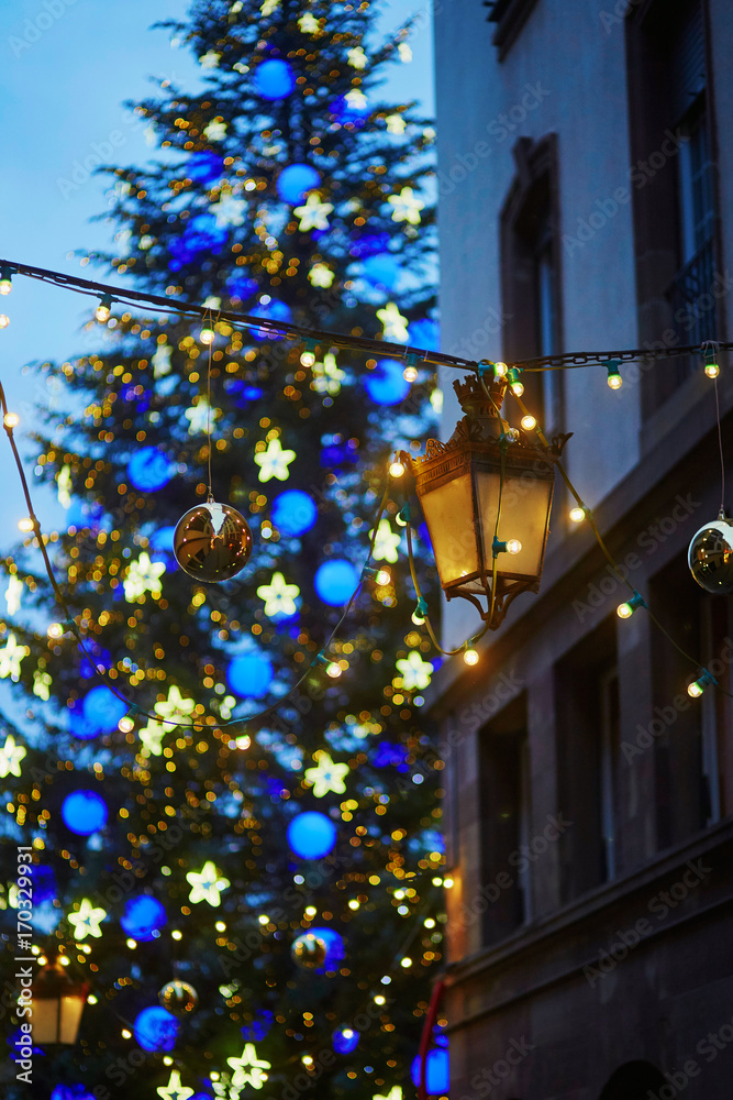 Main Christmas tree of Strasbourg, France with light garlands