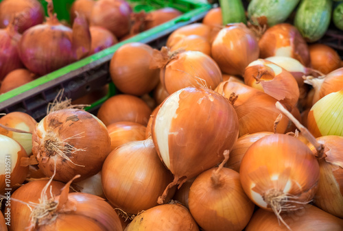 The new harvest onions at local farm market