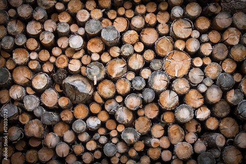 Firewood of colored log pile background texture