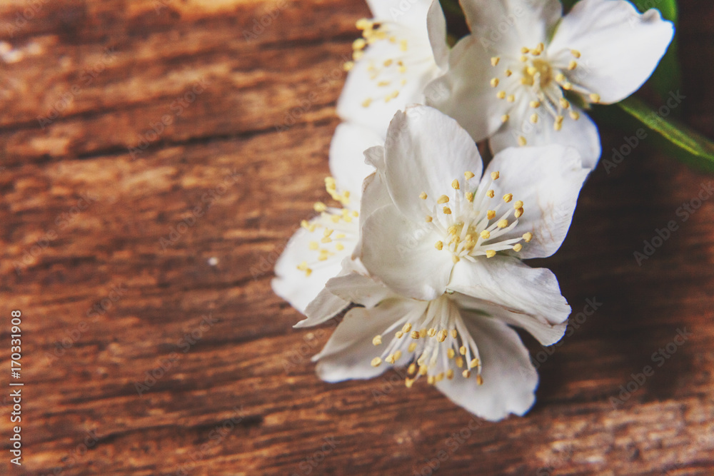 Jasmine on a wooden table