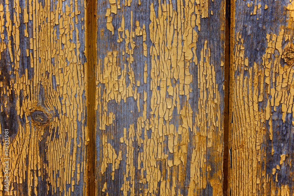 Background from a wooden shabby plank