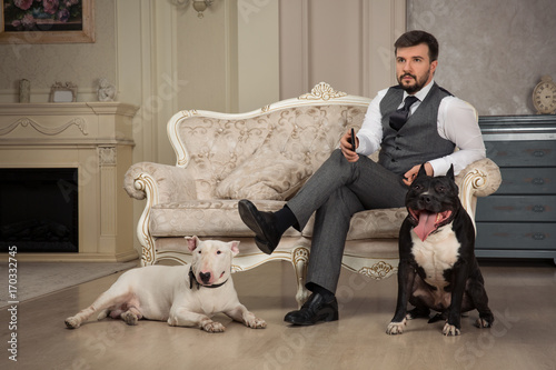 Man with mobile phone seating on the sofa. Dogs: black pit bull or stafforshire terrier, white bull terrier seatting in the legs of man in vintage studio photo